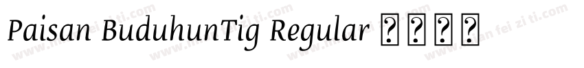 Paisan BuduhunTig Regular 字体下载字体转换